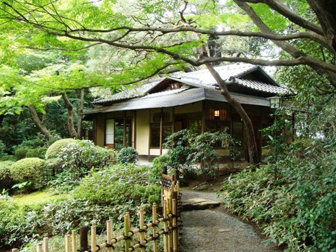 日本庭園茶室