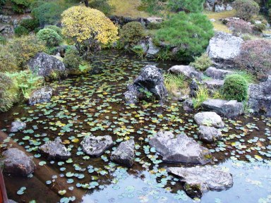 能仁寺庭園の池